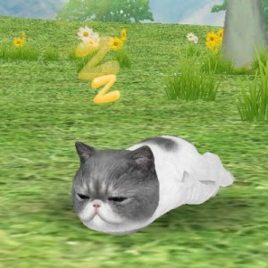 記事 : サムネイル