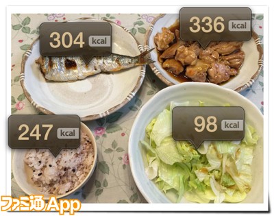 写真撮影で食事のカロリーまるわかり Foodlog で食事記録をつけてみた 飯テロ注意 ビーズログ Com