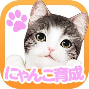 記事 : サムネイル