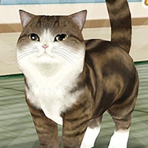記事 : サムネイル