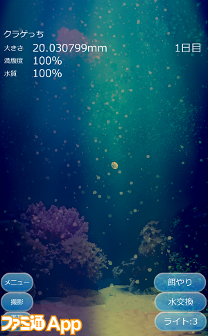 新作 スマホに広がる穏やかな水の世界 一日の疲れが吹き飛ぶ育成アプリ 癒しのクラゲ育成ゲーム ビーズログ Com