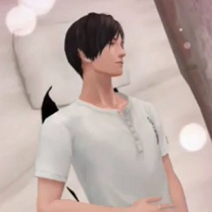 記事 : サムネイル