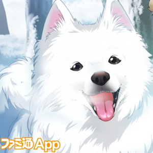 記事 : サムネイル