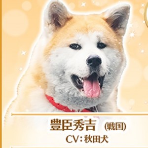 記事 : サムネイル
