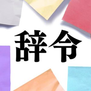 記事 : サムネイル