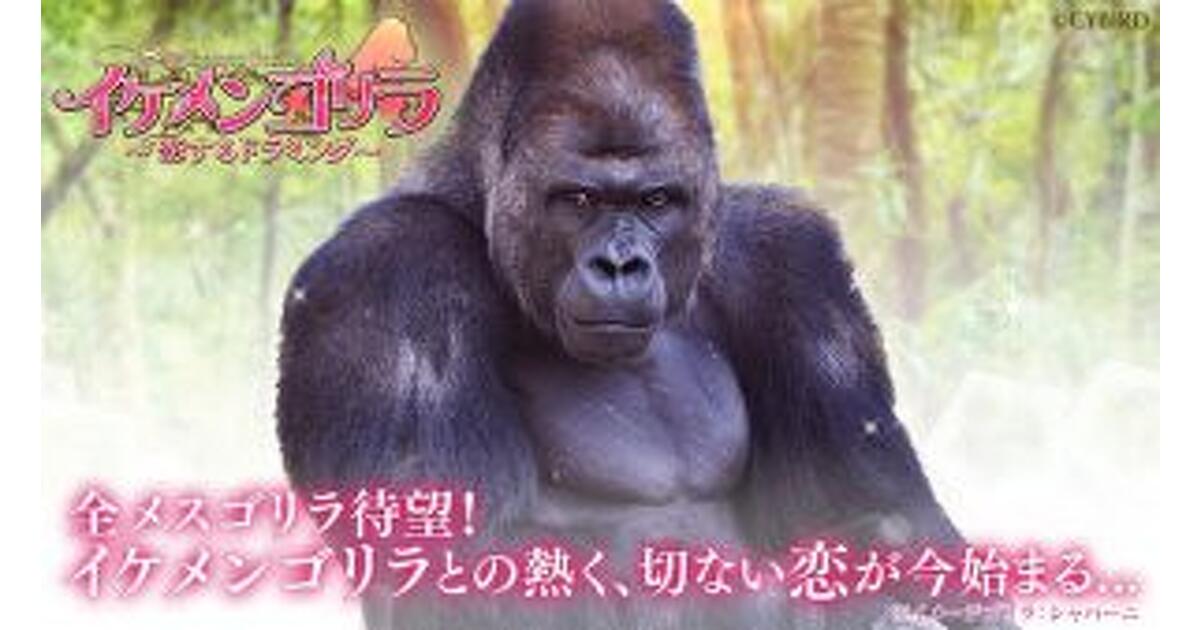 世界初・メスゴリラ向け新作恋愛ゲーム『イケメンゴリラ 恋するドラミング』がイケメンシリーズより発表!【エイプリルフール】 | ゲーム ...