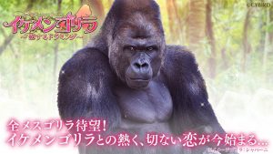 記事 : サムネイル