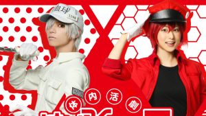 記事 : サムネイル
